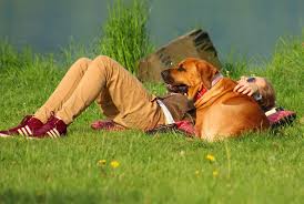 Or view cute dog names for boys instead. Dog Names That Mean Loyal The 77 Best Names For 2019
