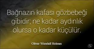 Bagnazin Kafasi Goz Bebegi Gibidir Ne Kadar Aydinlik Olursa O Kadar Kuculur Oliver Wendell Holmes Gozler