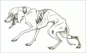 Zombie Dog By Nikkiburr Zombie Eyes Art Zombie