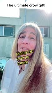 Crows Bringing Gifts