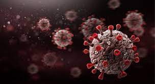 Vim falar um pouquinho sobre a cepa indiana aqui no brasil. Cepa Indiana Entenda Por Que Variante Do Novo Coronavirus Nascida Na India E Tao Perigosa Radio Jornal