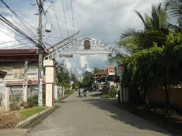 File:09840jfMaguinao Fields Grasslands San Rafael Ildefonso Lapnit  Bulacanfvf 12.jpg