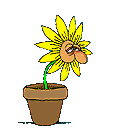 What are some good gif flowers? Flowering Plant Gifs Clipart