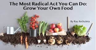 We did not find results for: The Most Radical Act You Can Do Grow Your Own Food Soil Health Academy