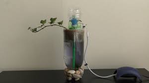 How To Make An Air Pump Using Plastic Bottle Youtube Aquarium Air Pump Diy Aquarium Filter Aquarium Pump