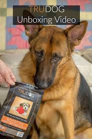 Ad Got A Picky Eater Been Considering Raw Dog Food But Worried About The Perishability Factor And The Expense Dog Food Recipes Dog Food Reviews Stinky Dog