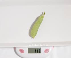 えんどう豆 グリンピース の数え方 単位は1個 1粒 1莢 生活知恵袋