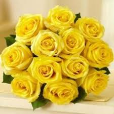Loannis redis, agia paraskevi, agia varvara, agioi anargyroi, agios dimitrios, agios eleftherios send flowers with fast delivery in athens. 95 Flowers To Usa Ideas Flowers Flower Delivery Same Day Flower Delivery