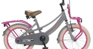 Popal Lola 16 Zoll 25 Cm Madchen Rucktrittbremse Grau Rosa Popal Kinder Lola Dieses Kinderfahrrad Ist Fur Coole Madchen Gedacht Die Die In 2020 Tricycle Bicycle Pink