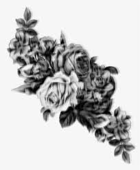 Nature’s most basic color palette supplies its owners with  a surprising array of survival techniques. Roses Black White Flowers Glitch Blur Transparent Background Vintage Flowers Png Png Download Kindpng
