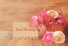 Good morning, have a lovely day picture. 100 Good Morning Flowers Images Picture Wallpapers Az Quotes