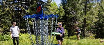 Image result for disc golf