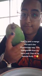 Picking Mango in Puerto Rico