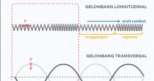 Gelombang Mekanik Transversal Dan Longitudinal Ç Pengertian Contoh Analisis Gambar Dan Penerapannya Aisyah Nestria