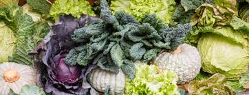 Side effects, dosage, warnings and precautions, and pregnancy safety is included. Warfarin Coumadin Interactions With Diet Berkeley Wellness