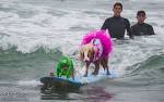 Announcing the 20Unleashed by Petco Double Dog Dare Surf