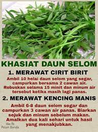 Seperti yang telah diketahui bahwa kalsium memiliki peranan penting dalam. Facebook