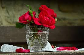 Teleflora birthday flowers delivered to someone's home or workplace will be a true delight. Roses Red Roses Birthday Flowers Bouquet Of Roses Red Rose Bloom Beautiful Romantic Love Fragrance Close Up Pikist