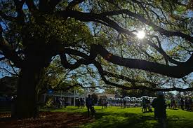 Image result for The Masters 2017