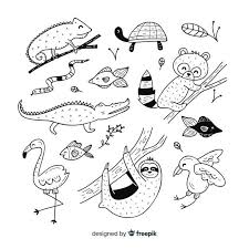 Download Hand Drawn Tropical Animal Collection For Free How To Draw Hands Tropical Animals Line Art Design
