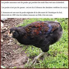 Epingle Sur Couleur Bleu