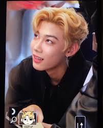 Robin Klass's Instagram, Twitter & Facebook