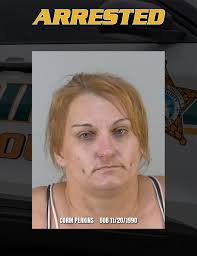 On June 7, 2024, a Lake County Deputy, while proactively patrolling  Bassville Park, attempted a traffic stop