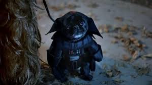 I Just Really Love The Little Dog Dressed As Darth Vader In The Halloween Themed Ver Star Wars Dog Costumes Dog Halloween Costumes Star Wars Halloween Costumes