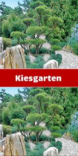 Faszination Kiesgarten Ob Ein Einzelnes Kiesbeet Oder Ein Gewundener Kiesweg Hier Erfahren Sie Wie Sie Einen Kiesgarten Selbst A In 2020 Kiesgarten Garten Pflanzen