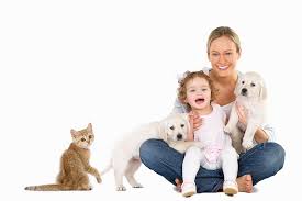 Constanta unipet goofy, strada aprodul purice nr. Gia Vet Cabinet Veterinar Farmacie Pet Shop Constanta