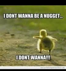 I Dont Wanna Funny Animal Quotes Funny Animal Jokes Cute Funny Animals