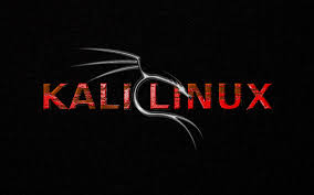 نتيجة بحث الصور عن التعرف اكثر على توزيعة| kali linux بديل الباك تراك وكيفية تحميلها وتثبيتها