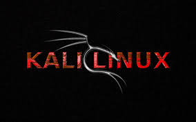 نتيجة بحث الصور عن التعرف اكثر على توزيعة| kali linux بديل الباك تراك وكيفية تحميلها وتثبيتها
