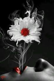 Black And White With Pop Of Color Art Tinnacriss Smoke Art Art Art Photography