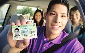 Driving progress, delivering value