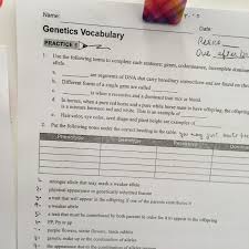 Many free esl, english vocabulary exercises, for english teachers, english vocabulary exercises, printable esl vocabulary worksheets, for teachers. Miss Durant S Science Class Life Science Genetics Vocabulary Skill And Practice Worksheet