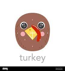 Turkey Cute portrait with name text smile head cartoon avatar round shape  animal face, isolated vector