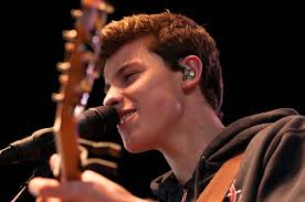 Shawn Mendes Concert 2015 Rose Music Center Dayton Ohio