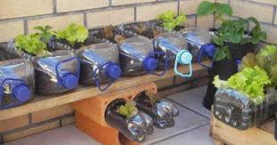 انتج فى المنزل Recycle Idea In Home دي صور للناس الي بتسأل ازى تزرع في الزجاجات البلاس Bottle Garden Aquaponics System Aquaponics