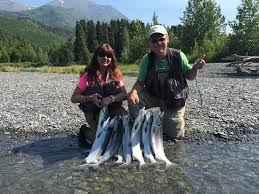Kenai River Sockeye Salmon On A Sunny Day In July Picture