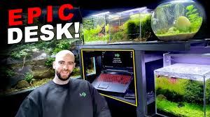 Discover the best fish tank for your own home aquarium. I Built A Fish Tank Desk Surround Nano Aquariums Md Fish Tanks Youtube