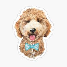 Maybe you would like to learn more about one of these? Golden Doodle Stickers Redbubble