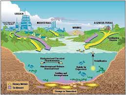Keep in mind that heavy metals are dangerous whether they're present in your drinking water or. Environmental Contamination By Heavy Metals Intechopen