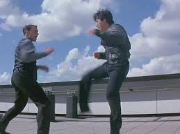 Mirror shows me the mask that i've been wearing whose echo echo speaks after i speak? Who Am I Jackie Chan S Final Fight On The Roof Karateka