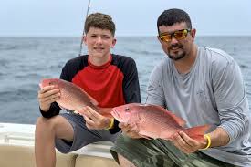 Juveniles mangrove snapper can be found around inshore tidal creeks, mangroves, and grass beds while adults generally are found nearshore or offshore on coral or rocky reefs. Red Snapper Season 2021 All You Need To Know
