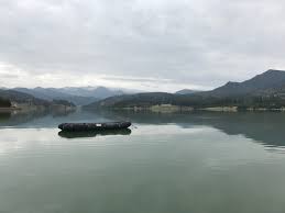 Cu toate acestea, șansele de a te plictisi sunt foarte slabe aici. Prin Romania Cu Copiii Excursie La Colibita Marea De La Munte Travelista Ro Mereu In Asteptarea Urmatoarei Aventuri