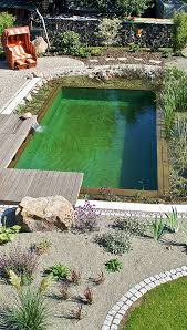 Gestaltungsideen Bilder Von Schwimmteich Naturpool Biopool In 2020 Natur Pool Im Freien Naturschwimmbecken