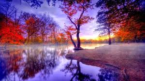 10 wallpaper pemandangan full hd deloiz wallpaper download wallpaper pemandangan dengan kualitas hd 1080px background pemandangan alam terindah di dunia gambar pemandangan tercantik gratis download the best nature wallpaper in the world wallpaper pemandangan keren. 10 Gambar Pemandangan Cantik Gambar Top 10