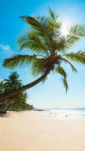 常夏のビーチ | iPhoneX,スマホ壁紙/待受画像ギャラリー | 美しい風景, ビーチ, トロピカルビーチ