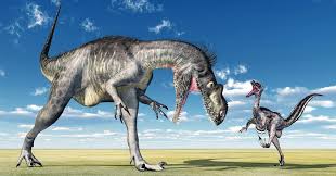 Dinosaurus adalah kelompok hewan purbakala dari klad dinosauria. Fosil Dinosaurus Pertama Kali Ditemukan Pada 1677 Seperti Apa Okezone Techno